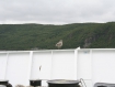 eng_keld_056