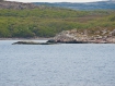 eng_nat_003