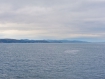 eng_nat_007