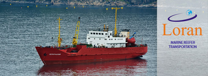 Marine Reefer Transportation