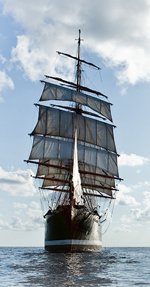 sedov